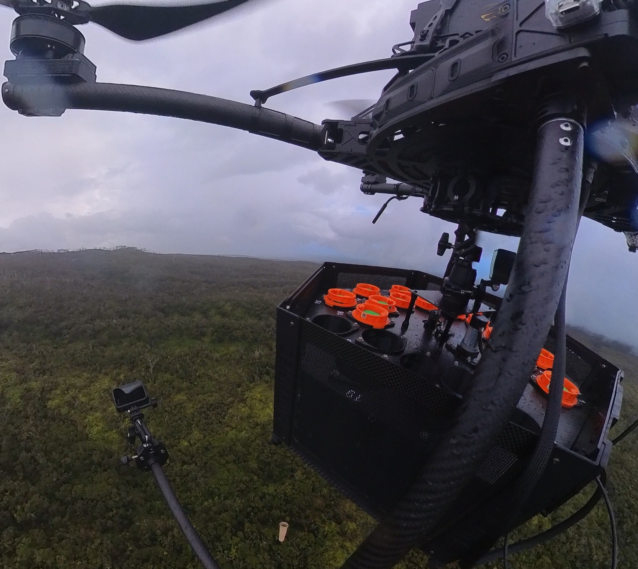 Featured image for “Thousands of mosquitoes are being dropped by drone over islands in Hawaii.”